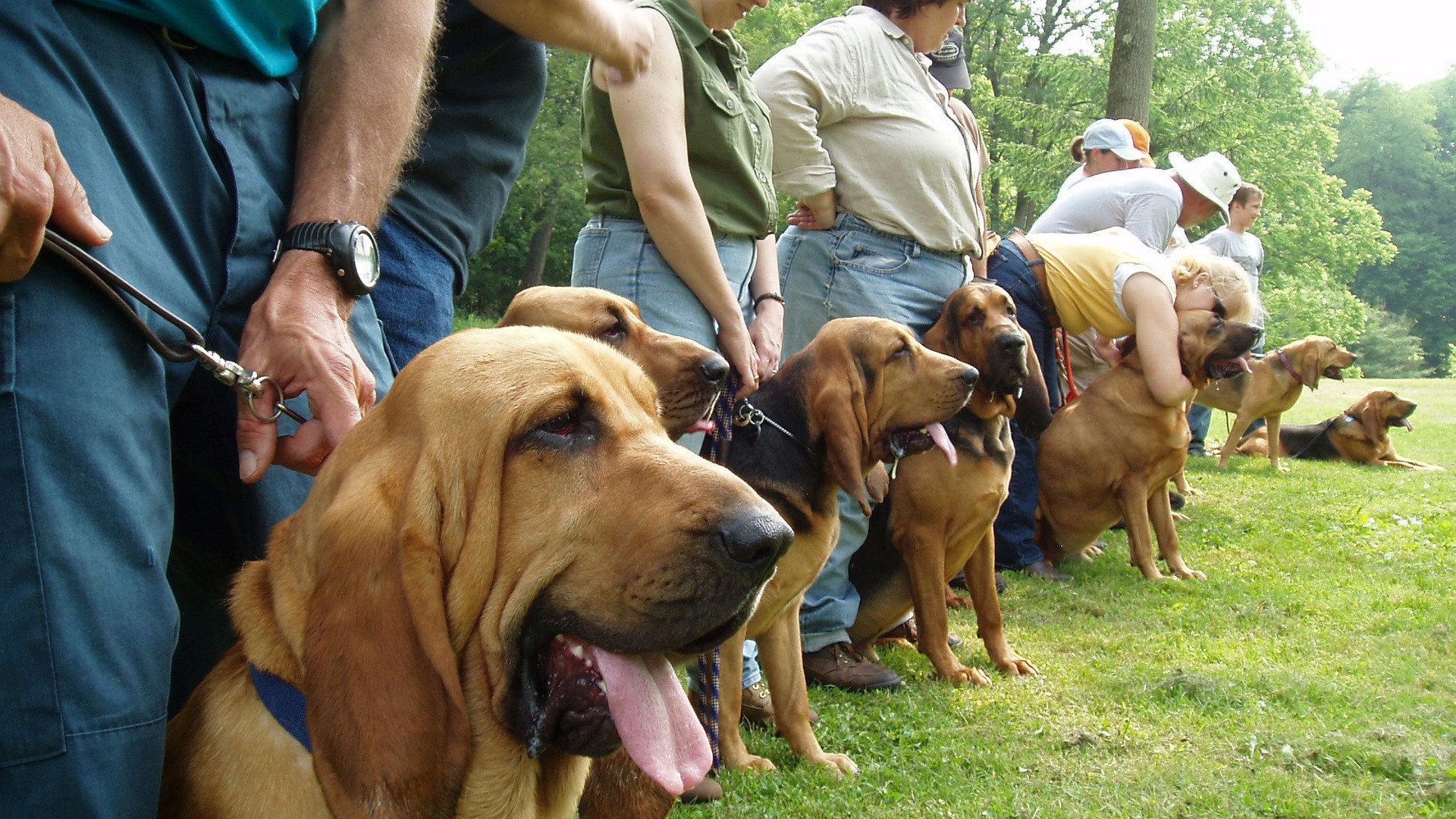 Backdrop for Эпизод 7