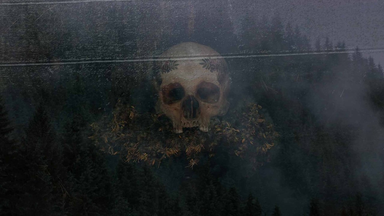 Backdrop for Ведьмы