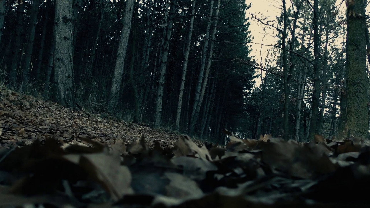 Backdrop for Мотылек
