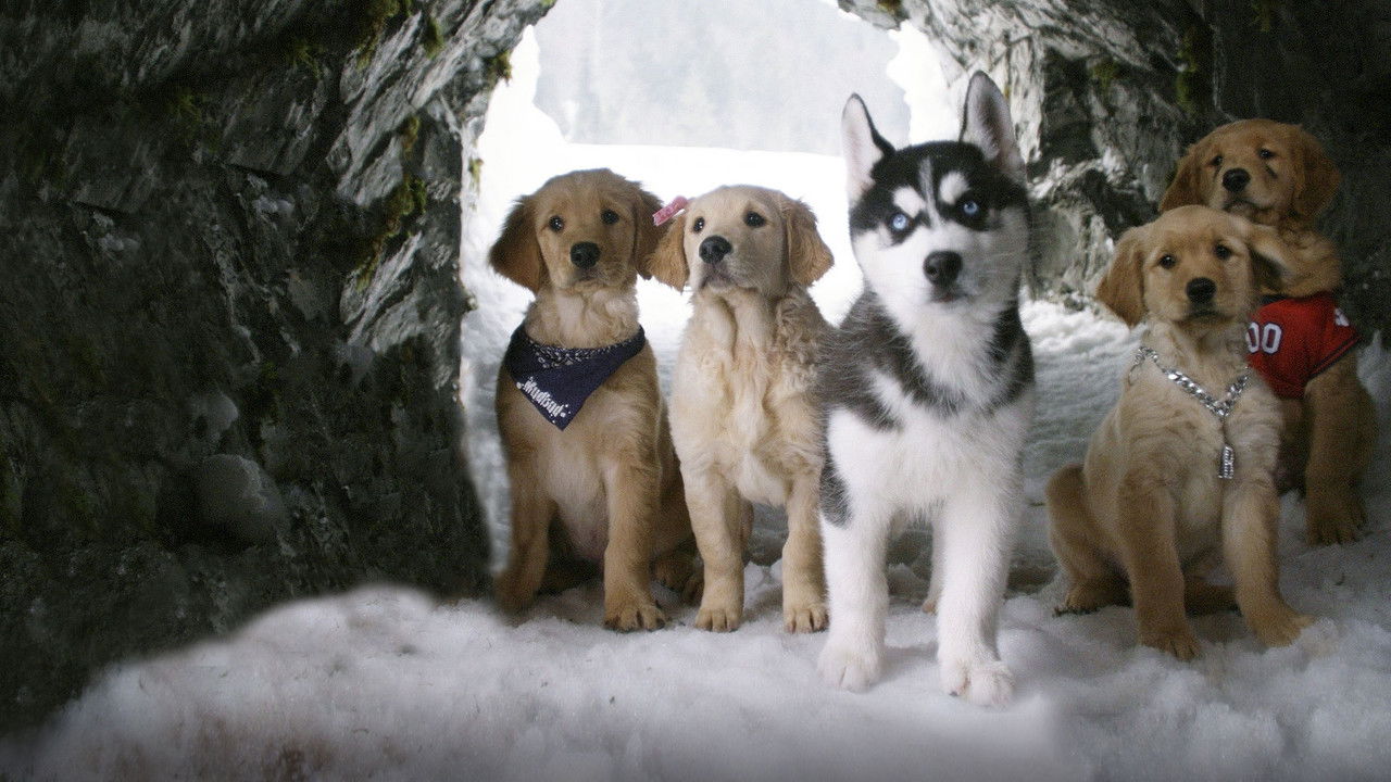 Backdrop for Снежная пятёрка