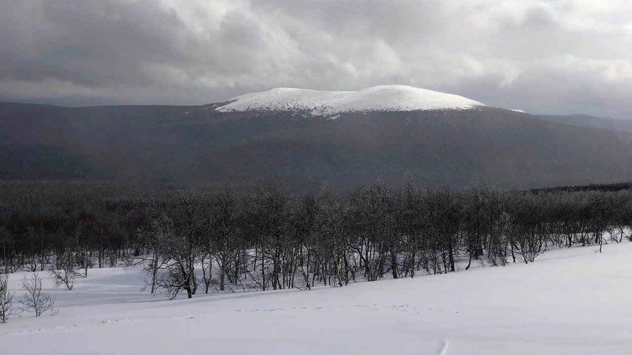 Backdrop for Тайна перевала Дятлова