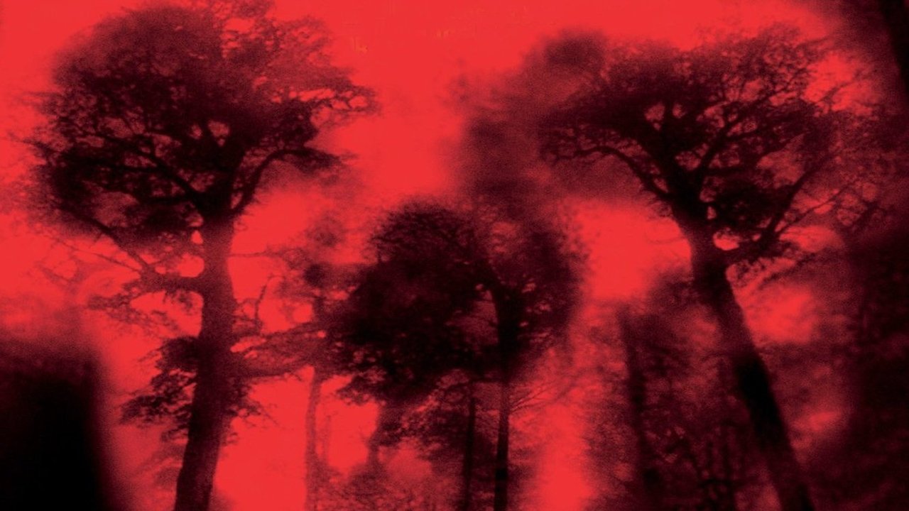 Backdrop for Лихорадка