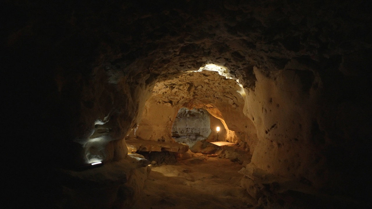 Backdrop for Неандертальцы. Первые художники человечества