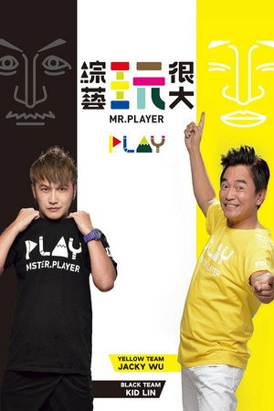Poster for Мистер Игрок