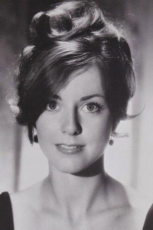 Cover image for Katherine Justice