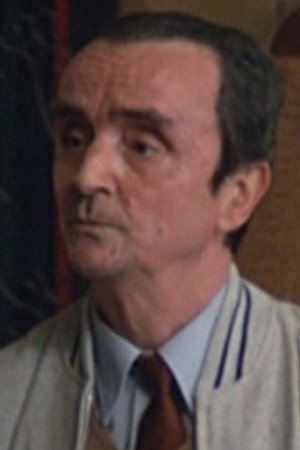 Cover image for Alfredo Adami