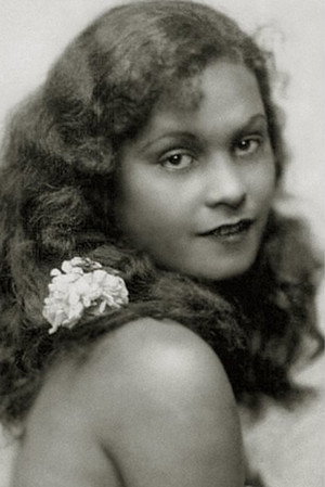 Cover image for Anne Chevalier