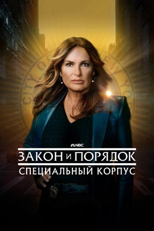 Poster for Law & Order: Special Victims Unit