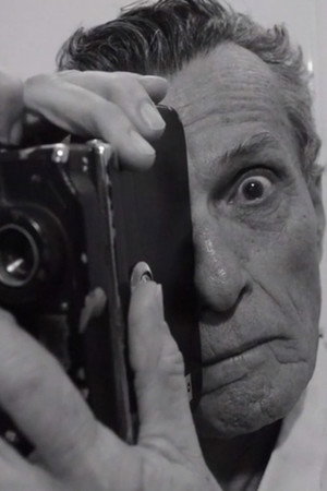 Cover image for Sylvio Lanna