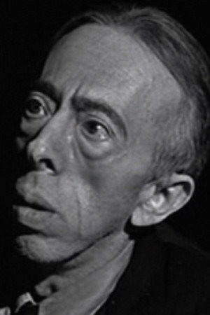 Cover image for David Hoffman