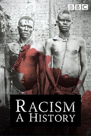 Poster for История расизма