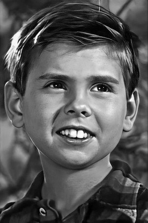 Cover image for Viktor Koval