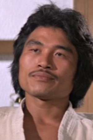 Cover image for Wang Ching-Liang