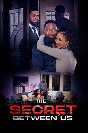 Poster for The Secret Between Us