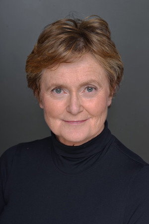 Cover image for Bronwen Mantel