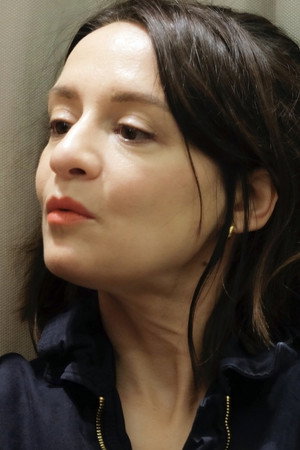Cover image for Anna Falguères