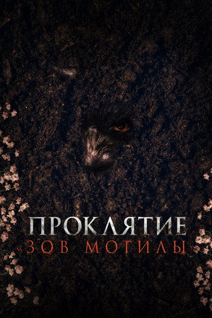 Poster for Проклятие «Зов могилы»