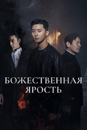 Poster for The Divine Fury