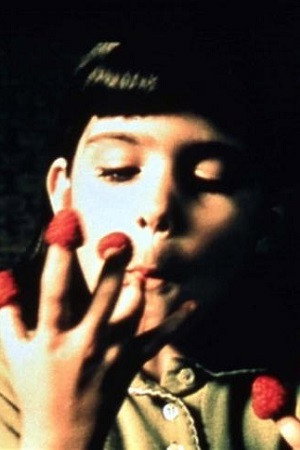 Cover image for Flora Guiet