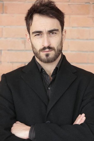 Cover image for Adriano Falivene