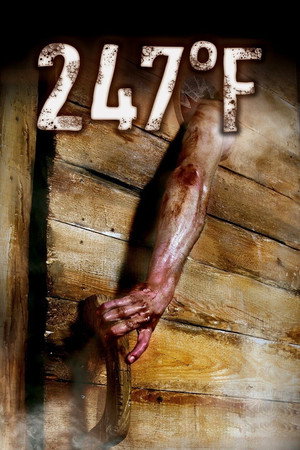 Poster for 247 градусов по Фаренгейту