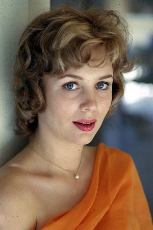 Cover image for Joan Staley