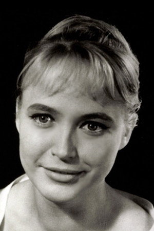 Cover image for Angela Brunner