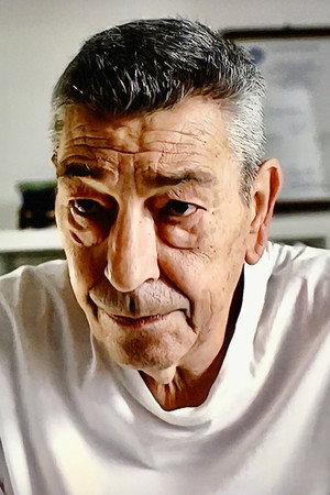 Cover image for Gianni Di Gregorio
