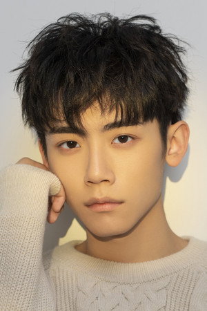 Cover image for Li Qing