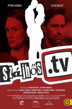 Poster for Аудитор