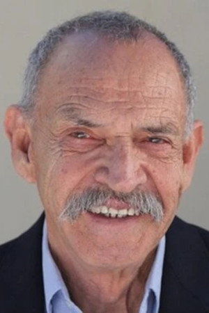 Cover image for Luis Accinelli