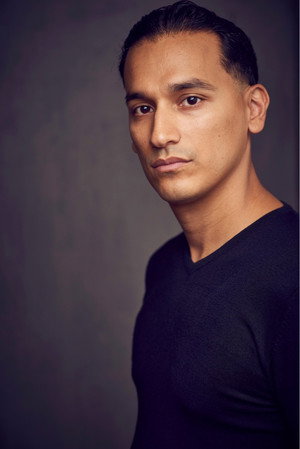 Cover image for Goya Robles