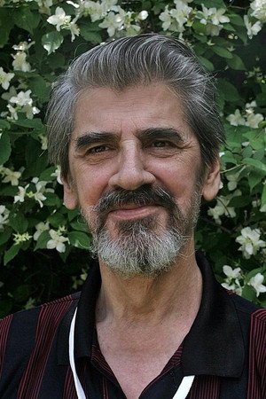 Cover image for Salaetin Bilal