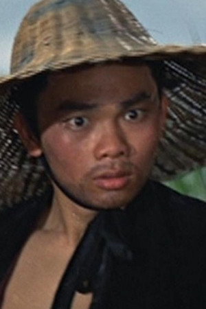 Cover image for Liu Gang