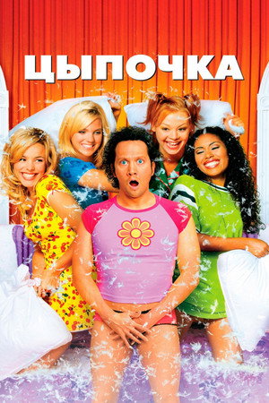 Poster for The Hot Chick