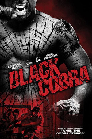 Poster for Черная кобра