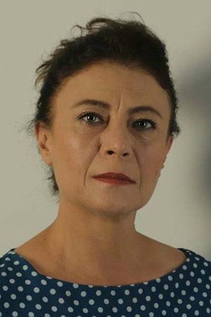 Cover image for Semra Dinçer