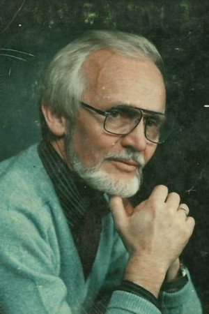 Cover image for Sverre Bergli