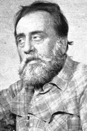 Cover image for Armando Fracassi