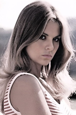 Cover image for Silvia Dionisio