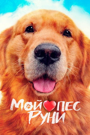 Poster for Мой пёс Руни