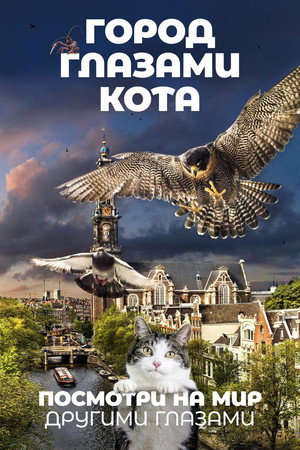 Poster for Город глазами кота