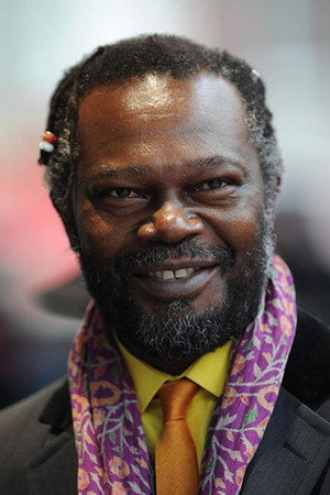 Cover image for Levi Roots