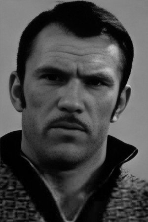 Cover image for Василий Долбитиков