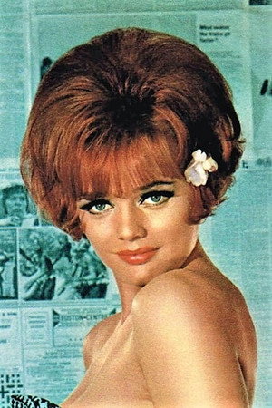 Cover image for Doris Arden
