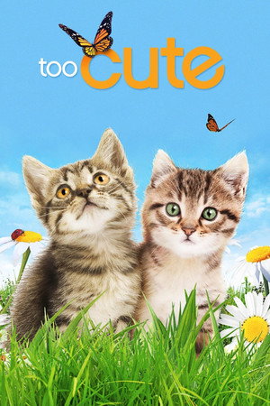 Poster for Симпатичные котята и щенки