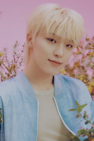 Cover image for 디노