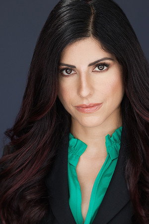 Cover image for Dina Najjar