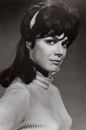 Cover image for Dodie Marshall