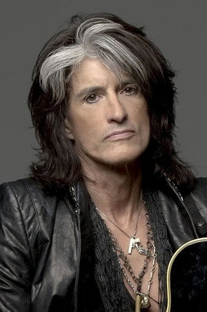 Cover image for Joe Perry